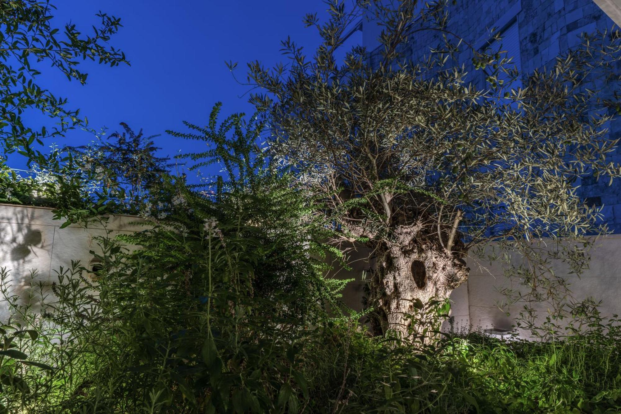 Olea Boutique Suites Polignano بولينيانو آ ماري المظهر الخارجي الصورة